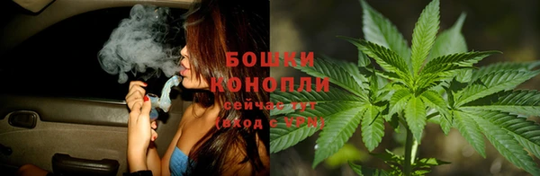 ГАЛЛЮЦИНОГЕННЫЕ ГРИБЫ Нязепетровск