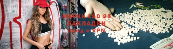 ГАЛЛЮЦИНОГЕННЫЕ ГРИБЫ Нязепетровск