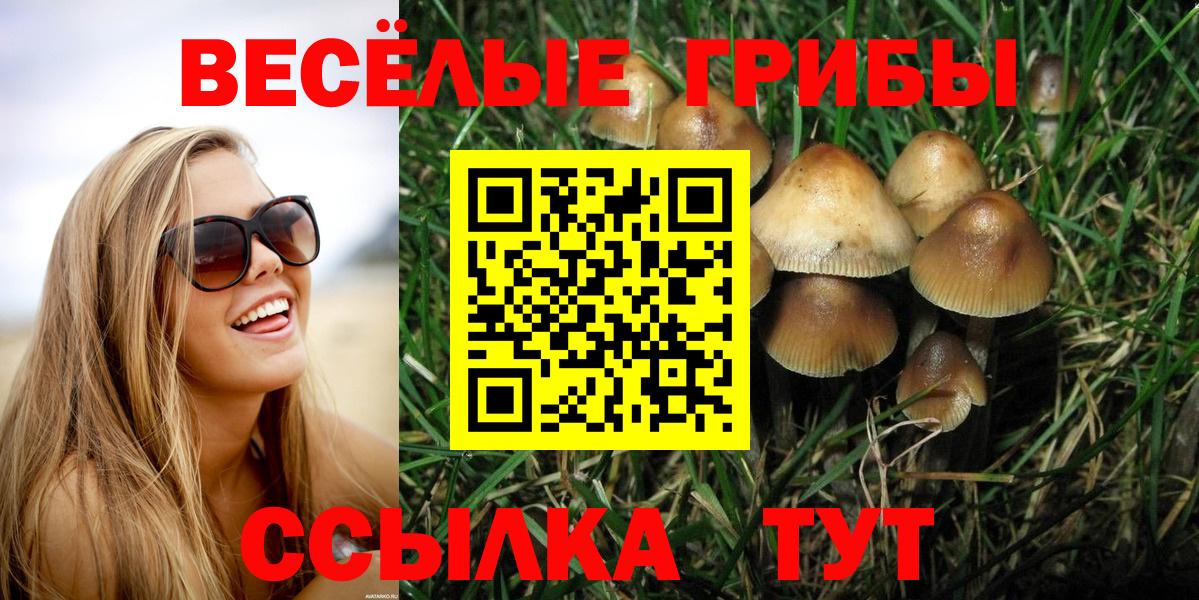 Псилоцибиновые грибы Cubensis  Вход с VPN  Псилоцибиновые грибы Magic Shrooms  Татарск 